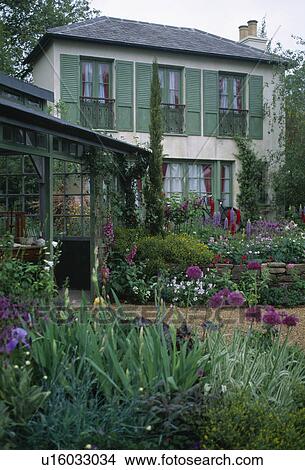 Picture - Purple alliums in border in front of traditional French house with green shutters. Fotosearch