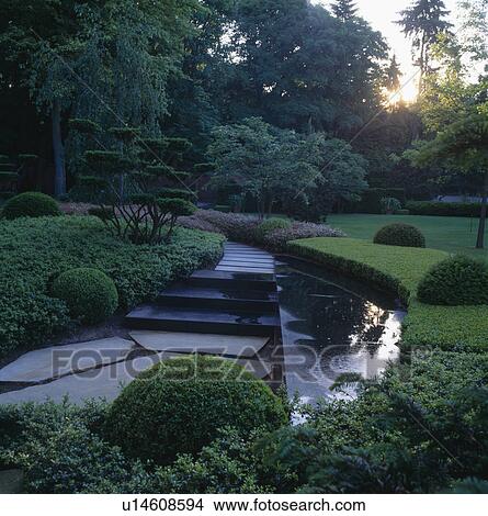 Picture - Rainwater on slate paving in formal garden with clipped box. Fotosearch