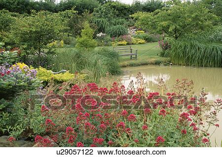 Stock Image - Red Valerian in summer border beside large pond in large country garden. Fotosearch