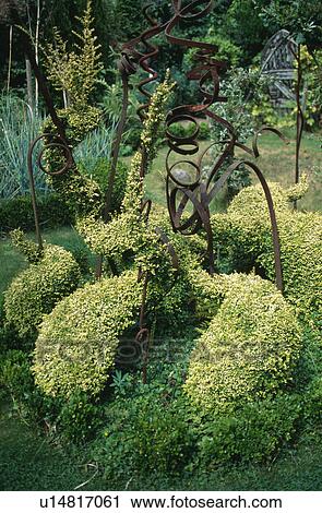 Stock Image - Shrubs clipped into curved shapes with informal metal sculpture. Fotosearch