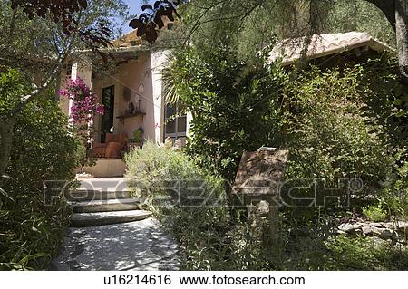 Stock Photograph - Shrubs on either side of path leading to country house in Mallorca. Fotosearch