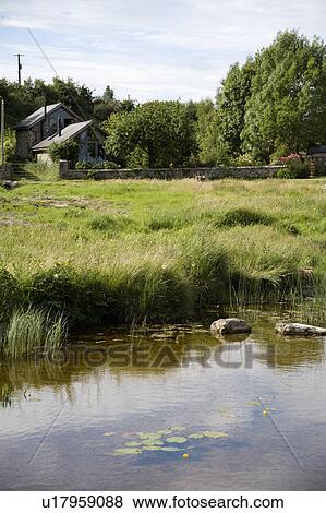 Stock Photo - Small pond in field in front of country cottage in English countryside. Fotosearch