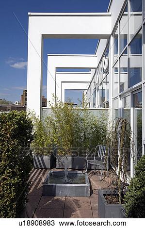 Stock Image - Small pool and trees on roof terrace of city penthouse apartment. Fotosearch