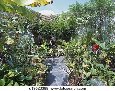 Small slate patio with tropical planting. View Large Photo Image Stock Photo - Small slate patio with tropical planting.. Fotosearch