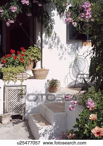 Stock Photo - Small white Majorcan house with pink flowering climber and steps up to patio. Fotosearch