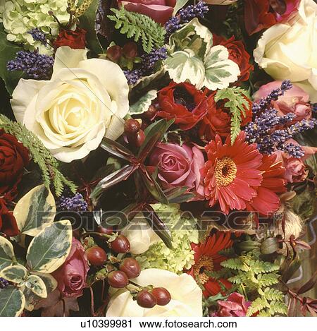 Stock Image - Still-Life of cream roses and summer flowers. Fotosearch