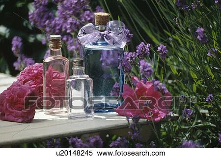 Stock Photography - Still-Life of glass perfume bottles and pink roses on garden table. Fotosearch