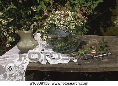 Still-life of green jug with antique lace cloth and branches of white flowering shrubs in glass bowl View Large Photo Image Stock Photo - Still-life of green jug with antique lace cloth and branches of white flowering shrubs in glass bowl. Fotosearch