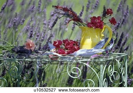 Still-Life of lavender and red roses in yellow jug on garden table with background of lavender View Large Photo Image Stock Photo - Still-Life of lavender and red roses in yellow jug on garden table with background of lavender. Fotosearch