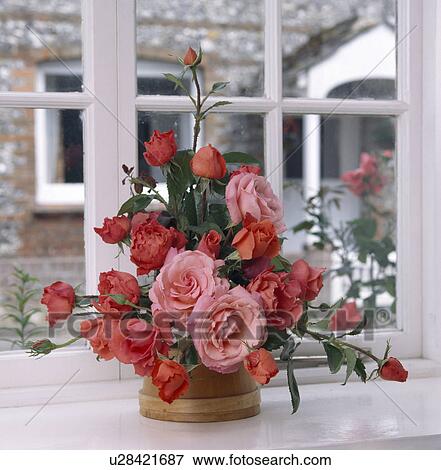 Still-Life of pink and red roses in formal floral arrangement on window-sill View Large Photo Image Stock Photo - Still-Life of pink and red roses in formal floral arrangement on window-sill. Fotosearch