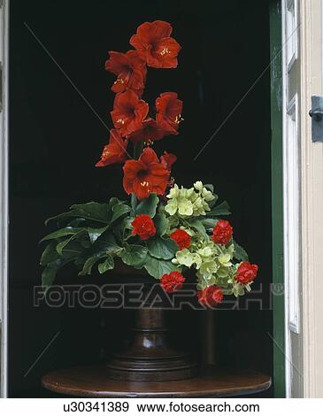 Stock Photo - Still-Life of red gladiolus and red roses in tall formal floral arrangement. Fotosearch