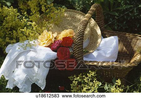 Still-Life of roses with straw hat and white lace-edged cloth in old wicker basket View Large Photo Image Stock Image - Still-Life of roses with straw hat and white lace-edged cloth in old wicker basket. Fotosearch