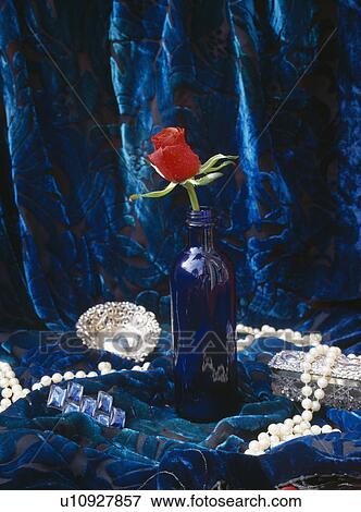 Stock Photo - Still-Life of single red rose in blue glass bottle against blue velvet fabric. Fotosearch