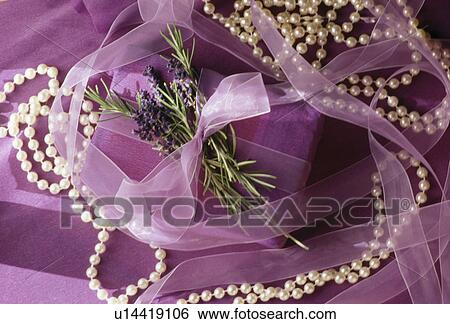 Still-Life of string of pearls with mauve organza ribbon and small posy of rosemary and lavender View Large Photo Image Stock Photograph - Still-Life of string of pearls with mauve organza ribbon and small posy of rosemary and lavender. Fotosearch
