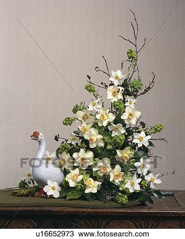 Still-Life of white and yellow narcissi in formal Spring floral arrangement View Large Photo Image Stock Image - Still-Life of white and yellow narcissi in formal Spring floral arrangement. Fotosearch
