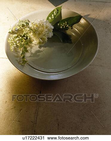 Still-life of white flowers in circular beige pottery dish View Large Photo Image Stock Image - Still-life of white flowers in circular beige pottery dish. Fotosearch