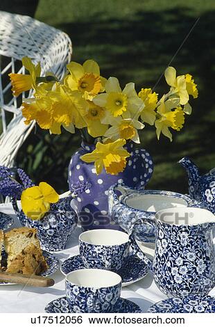 Still-Life of yellow daffodils in blue spotted jug on garden table with blue+white floral cups and jug View Large Photo Image Stock Photograph - Still-Life of yellow daffodils in blue spotted jug on garden table with blue+white floral cups and jug. Fotosearch
