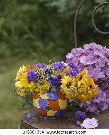 Still-Life of yellow rudbeckia in colourful patterned jug on garden table with mauve hydrangeas View Large Photo Image Picture - Still-Life of yellow rudbeckia in colourful patterned jug on garden table with mauve hydrangeas. Fotosearch
