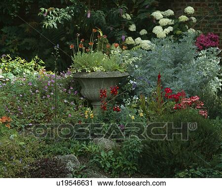 Stone urn with anemones in an early summer mixed border with perennial wallflowers, snapdragons, heather and artimesia backed with butterfly bush and hydrangea View Large Photo Image Stock Image - Stone urn with anemones in an early summer mixed border with perennial wallflowers, snapdragons, heather and artimesia backed with butterfly bush and hydrangea. Fotosearch