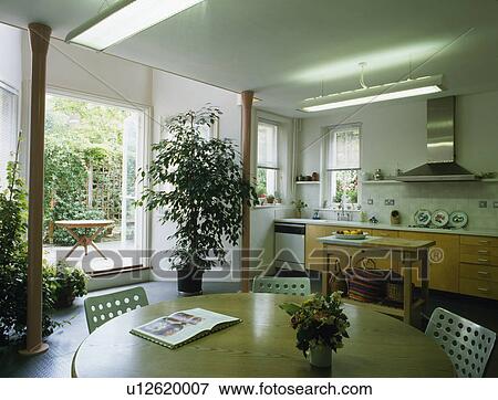 Stock Photo - Tall houseplant in modern townhouse kitchen dining room. Fotosearch