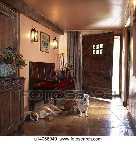 Three dogs sitting and lying on flagstone floor in country hall with lighted wall-lights open front door View Large Photo Image Stock Photo - Three dogs sitting and lying on flagstone floor in country hall with lighted wall-lights open front door . Fotosearch