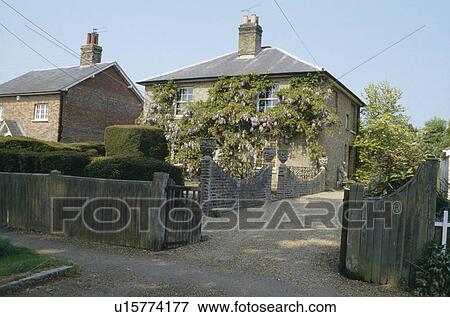 Stock Photo - Topiary in garden beside gravel drive to Victorian detached village house with wisteria. Fotosearch
