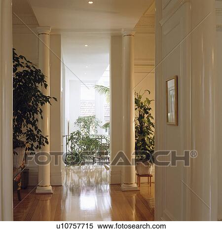 Traditional white hall with green houseplants View Large Photo Image Stock Photography - Traditional white hall with green houseplants. Fotosearch