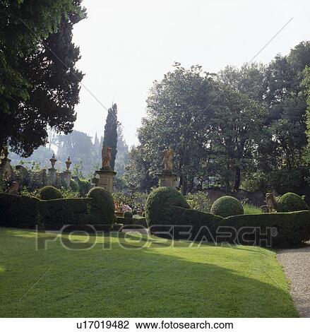 Stock Image - Tree shading lawn with clipped hedge and box balls in Italian country garden. Fotosearch