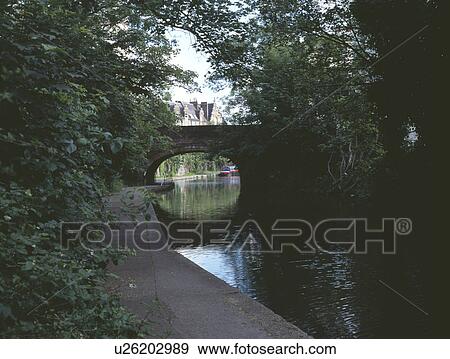 Stock Photo - Trees beside the towpath of the Regent Canal in North London. Fotosearch