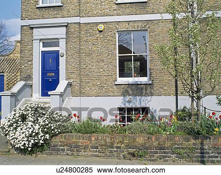 Stock Photography - White-flowering shrub on low wall in front of traditional Victorian terraced town-house. Fotosearch