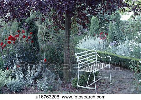 White metal bench below tree in summer garden with red roses and grey artemisia in borders View Large Photo Image Stock Photo - White metal bench below tree in summer garden with red roses and grey artemisia in borders. Fotosearch