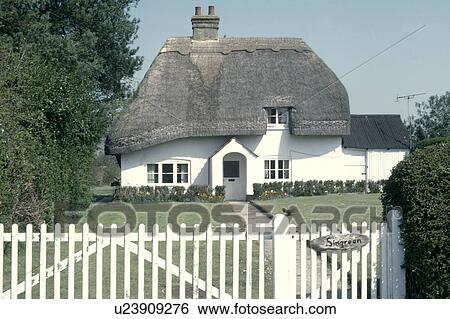 White picket fence and gate in front of small white country cottage with thatched roof View Large Photo Image Stock Photograph - White picket fence and gate in front of small white country cottage with thatched roof. Fotosearch