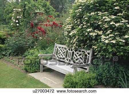 Wooden bench below white-flowering viburnum in country garden in summer View Large Photo Image Stock Image - Wooden bench below white-flowering viburnum in country garden in summer. Fotosearch