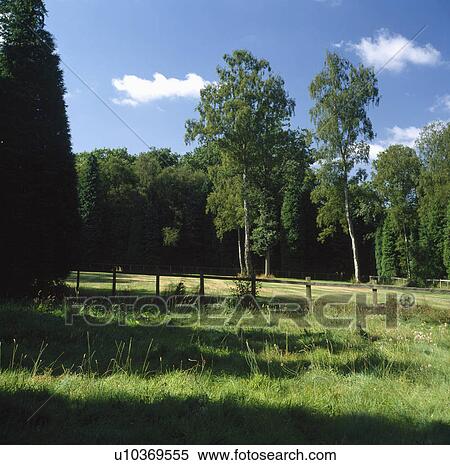 Stock Photography - Wooden fence separating unmown grass from field with tall trees. Fotosearch
