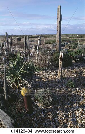 Wooden posts set into gravel in coastal garden View Large Photo Image Picture - Wooden posts set into gravel in coastal garden. Fotosearch