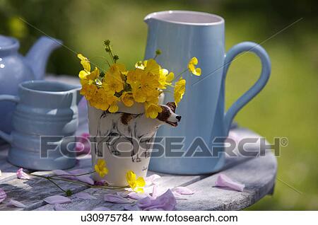 Yellow flowers in novelty dog mug on wooden table. View Large Photo Image Picture - Yellow flowers in novelty dog mug on wooden table.. Fotosearch