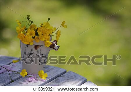 Yellow flowers in novelty dog mug on wooden table. View Large Photo Image Stock Image - Yellow flowers in novelty dog mug on wooden table.. Fotosearch