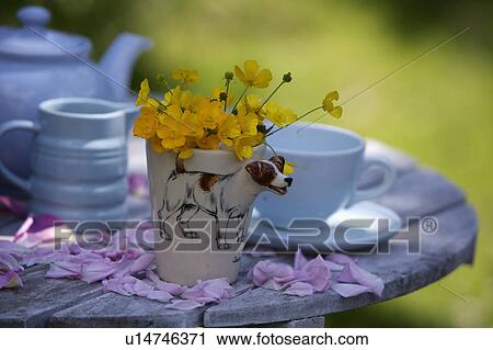 Yellow flowers in novelty dog mug on wooden table. View Large Photo Image Stock Image - Yellow flowers in novelty dog mug on wooden table.. Fotosearch