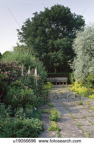 Stock Photograph - York-stone path beside herbaceous border in country garden. Fotosearch