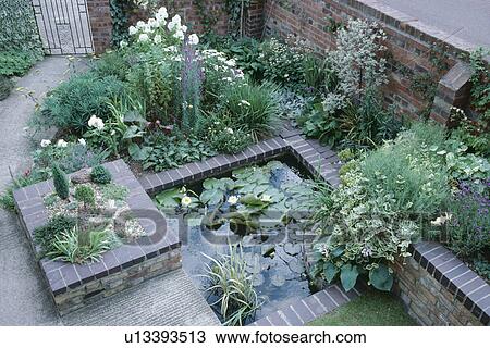 Birdseye view of small pond and raised gravel garden in small town front garden with white phlox View Large Photo Image Stock Image - Birdseye view of small pond and raised gravel garden in small town front garden with white phlox. Fotosearch