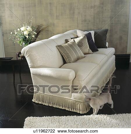 Stock Image - Cat below cream sofa with silk striped and plain cushions. Fotosearch