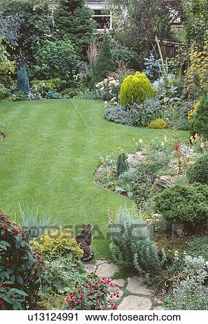 Cat on paved path in town garden with profuse borders and curved lawn View Large Photo Image Stock Image - Cat on paved path in town garden with profuse borders and curved lawn. Fotosearch