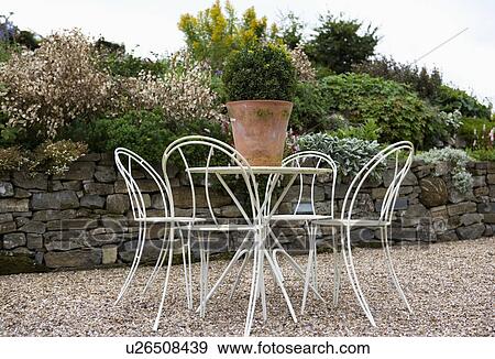 Stock Photo - Clipped box in terracotta pot on white metal table with matching chairs on gravel patio in country garden. Fotosearch
