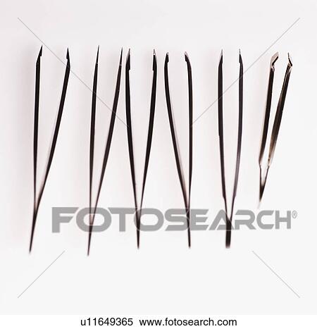 Close-up of a group of metal tweezers View Large Photo Image Stock Photography - Close-up of a group of metal tweezers. Fotosearch