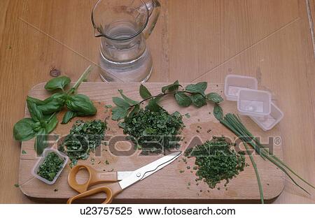Stock Photography - Close-up of basil, chives and mint in preparation for freezing. Fotosearch