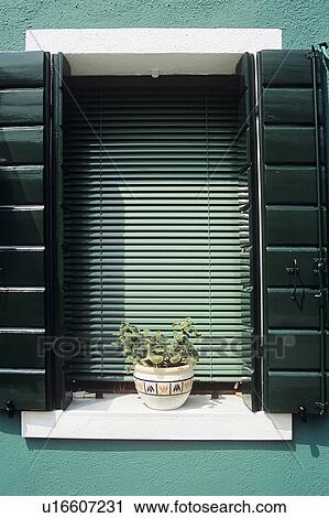 Close up of black shutters and green slatted blind on window View Large Photo Image Stock Image - Close up of black shutters and green slatted blind on window . Fotosearch