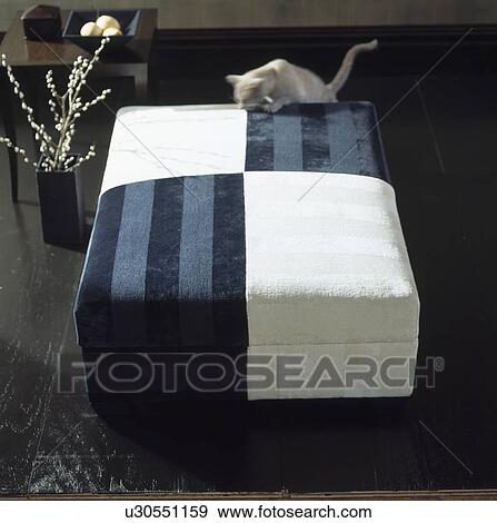 Close-up of cat on upholstered stool with white and blue quarters View Large Photo Image Stock Photo - Close-up of cat on upholstered stool with white and blue quarters. Fotosearch