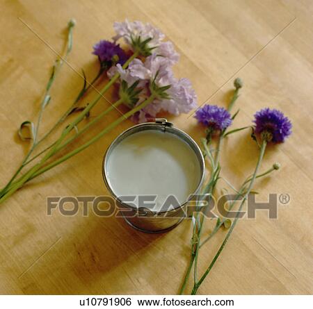 Close-up of cornflowers and pot of paint on wooden flooring View Large Photo Image Stock Photograph - Close-up of cornflowers and pot of paint on wooden flooring. Fotosearch