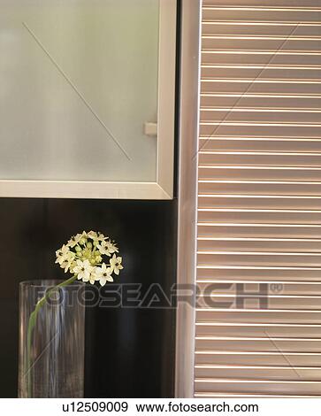 Close-up of cream flower in vase below kitchen cupboard View Large Photo Image Stock Photo - Close-up of cream flower in vase below kitchen cupboard. Fotosearch