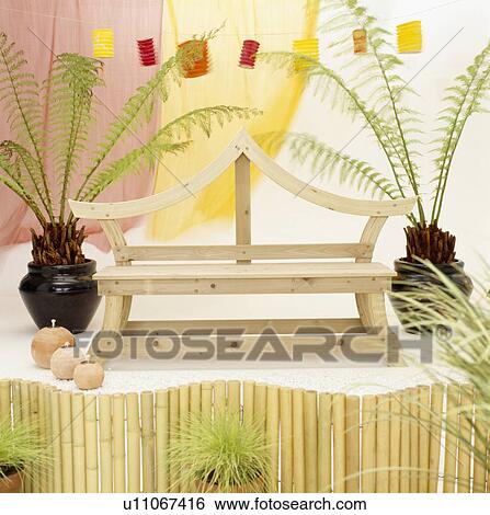 Close-up of ferns in pots on either side of simple wooden bench View Large Photo Image Stock Photograph - Close-up of ferns in pots on either side of simple wooden bench. Fotosearch
